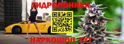 ECSTASY Новозыбков
